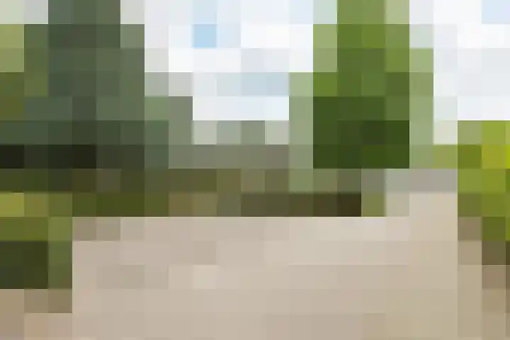 Leeuwenhoekweg 50 Bergschenhoek thumbnail 14