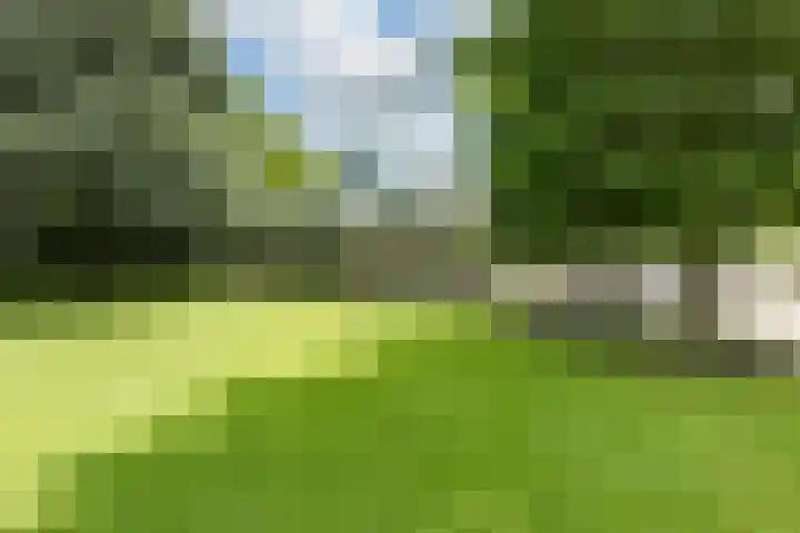 Leeuwenhoekweg 50 Bergschenhoek thumbnail 15