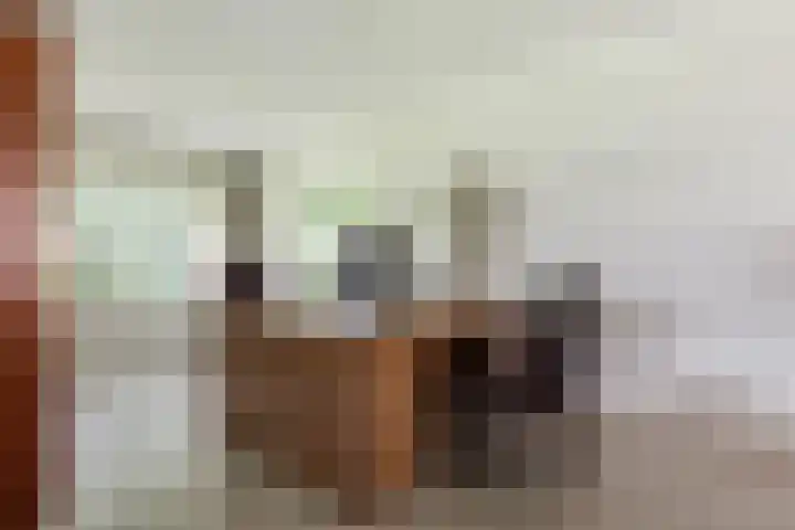 Leeuwenhoekweg 50 Bergschenhoek thumbnail 17