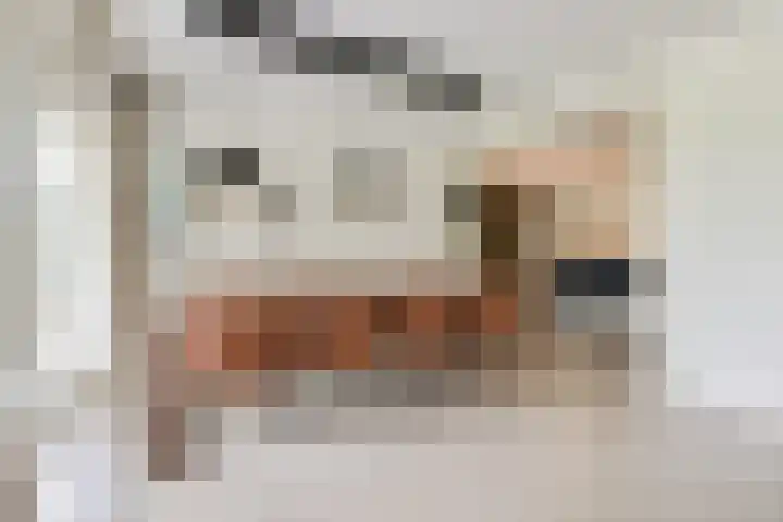 Leeuwenhoekweg 50 Bergschenhoek thumbnail 18