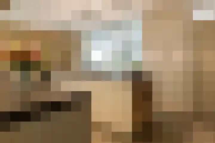 Leeuwenhoekweg 50 Bergschenhoek thumbnail 21