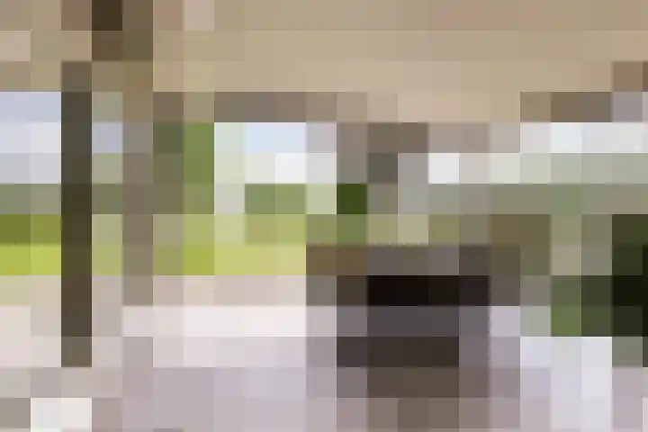 Leeuwenhoekweg 50 Bergschenhoek thumbnail 24