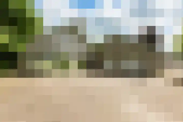 Leeuwenhoekweg 50 Bergschenhoek thumbnail 4