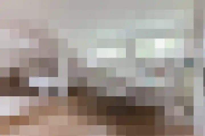 Leeuwenhoekweg 50 Bergschenhoek thumbnail 40