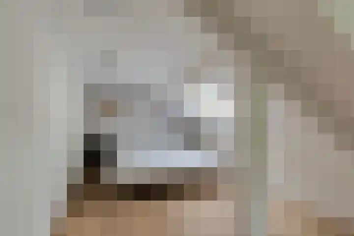 Leeuwenhoekweg 50 Bergschenhoek thumbnail 42