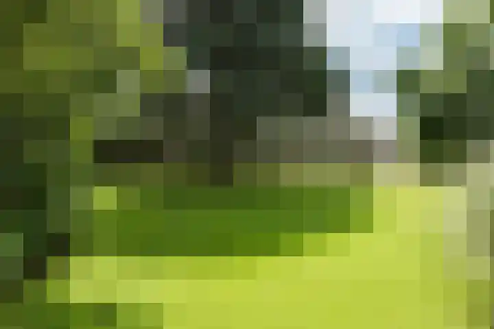 Leeuwenhoekweg 50 Bergschenhoek thumbnail 5