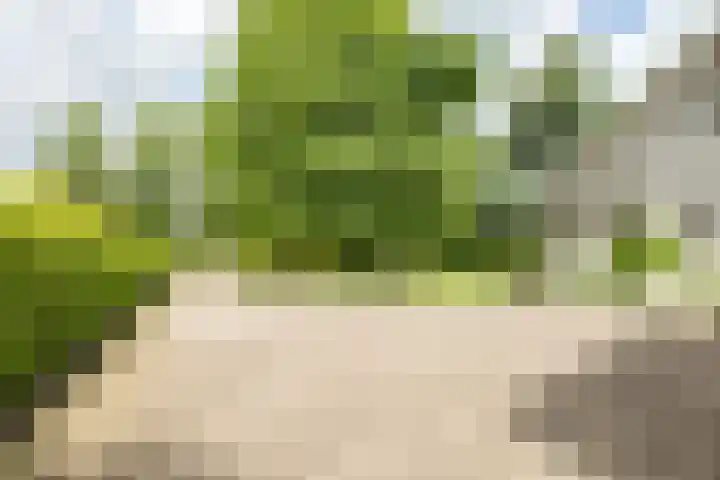 Leeuwenhoekweg 50 Bergschenhoek thumbnail 50
