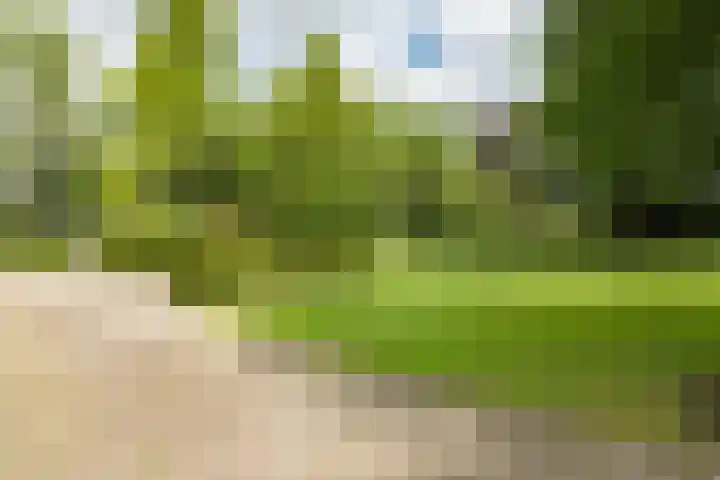 Leeuwenhoekweg 50 Bergschenhoek thumbnail 51