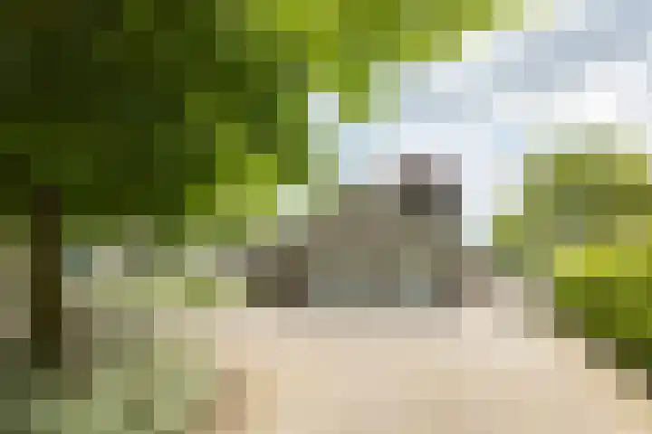 Leeuwenhoekweg 50 Bergschenhoek thumbnail 52