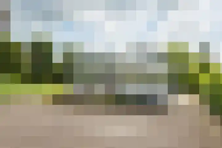 Leeuwenhoekweg 50 Bergschenhoek thumbnail 54