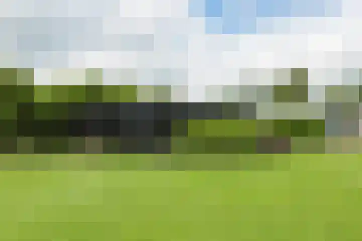 Leeuwenhoekweg 50 Bergschenhoek thumbnail 55