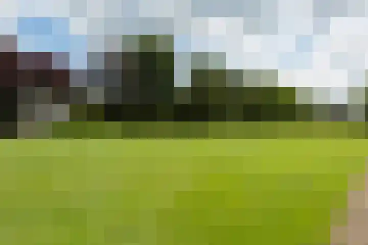 Leeuwenhoekweg 50 Bergschenhoek thumbnail 56