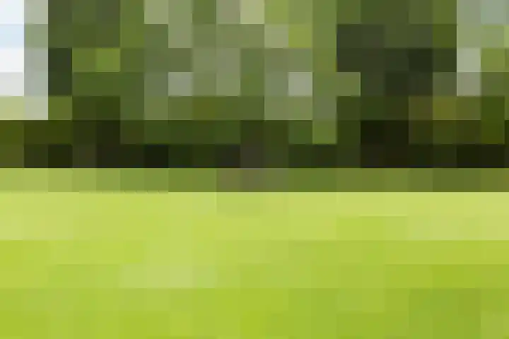 Leeuwenhoekweg 50 Bergschenhoek thumbnail 57
