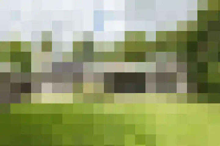 Leeuwenhoekweg 50 Bergschenhoek thumbnail 58