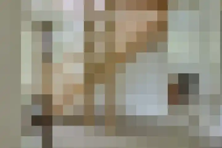 Leeuwenhoekweg 50 Bergschenhoek thumbnail 7