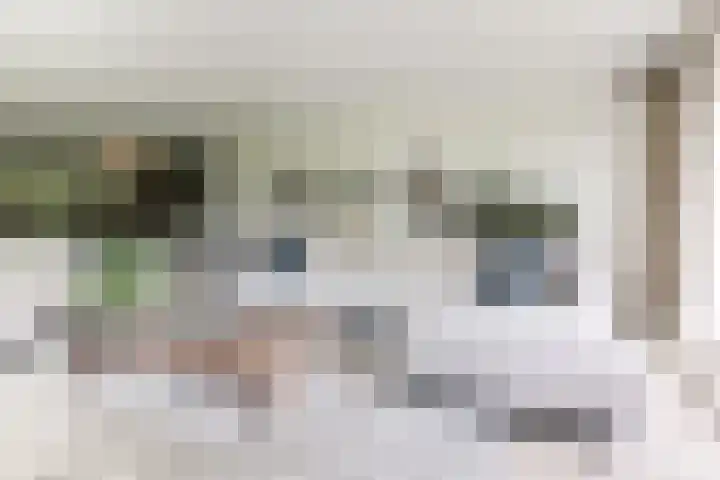 Leeuwenhoekweg 50 Bergschenhoek thumbnail 9
