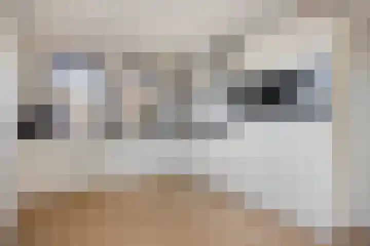 Leeuwenhof 17 Zoetermeer thumbnail 10