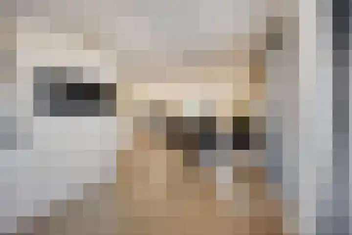 Leeuwenhof 17 Zoetermeer thumbnail 12