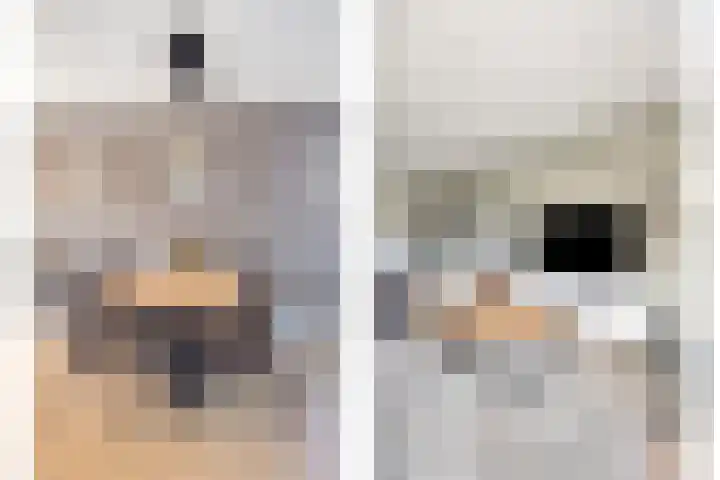 Leeuwenhof 17 Zoetermeer thumbnail 13