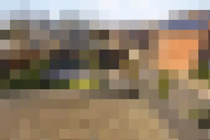 Leeuwenhof 17 Zoetermeer thumbnail 15