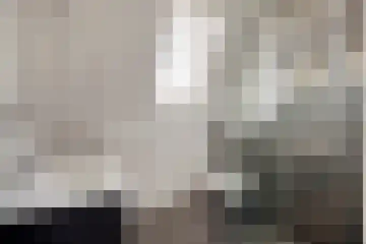 Leeuwenhof 17 Zoetermeer thumbnail 17