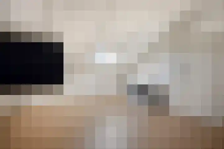 Leeuwenhof 17 Zoetermeer thumbnail 21