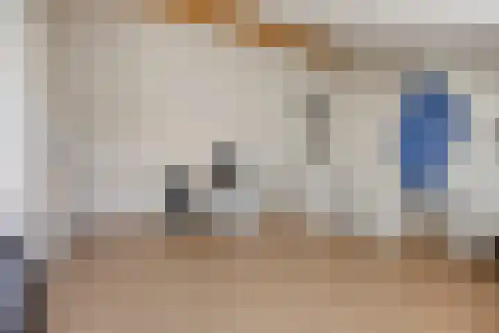Leeuwenhof 17 Zoetermeer thumbnail 22