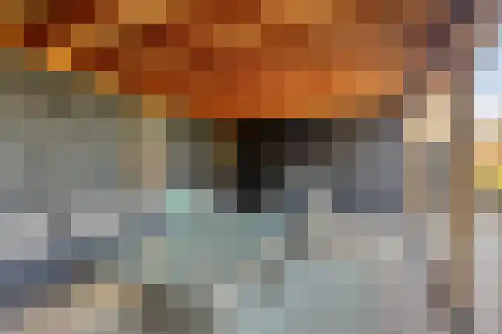 Leeuwenhof 17 Zoetermeer thumbnail 27