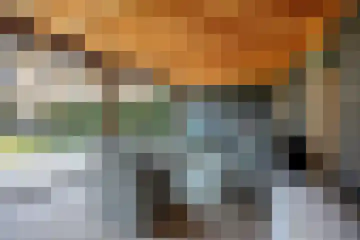 Leeuwenhof 17 Zoetermeer thumbnail 28