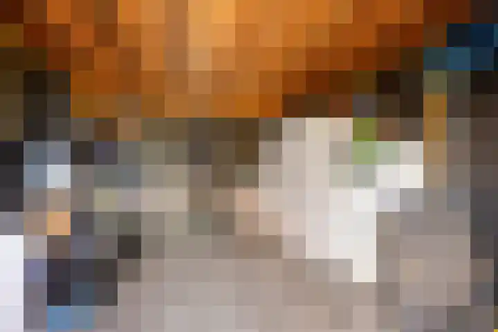 Leeuwenhof 17 Zoetermeer thumbnail 29
