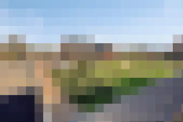 Leeuwenhof 17 Zoetermeer thumbnail 30