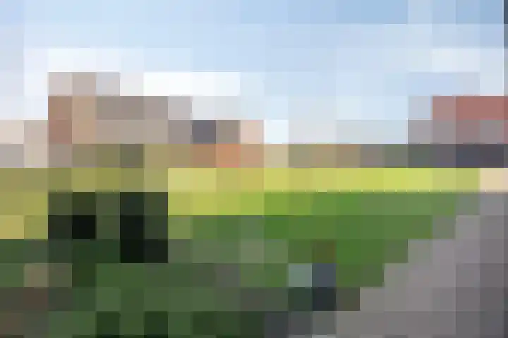 Leeuwenhof 17 Zoetermeer thumbnail 36
