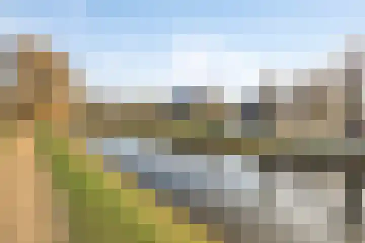 Leeuwenhof 17 Zoetermeer thumbnail 40