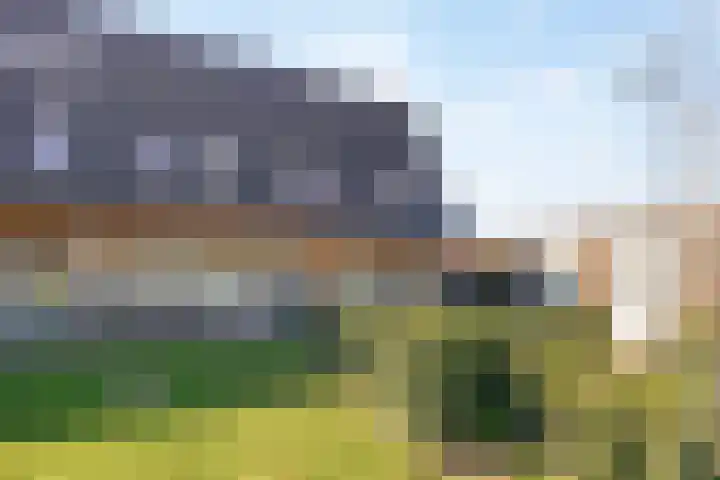 Leeuwenhof 17 Zoetermeer thumbnail 44