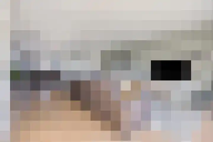 Leeuwenhof 17 Zoetermeer thumbnail 8