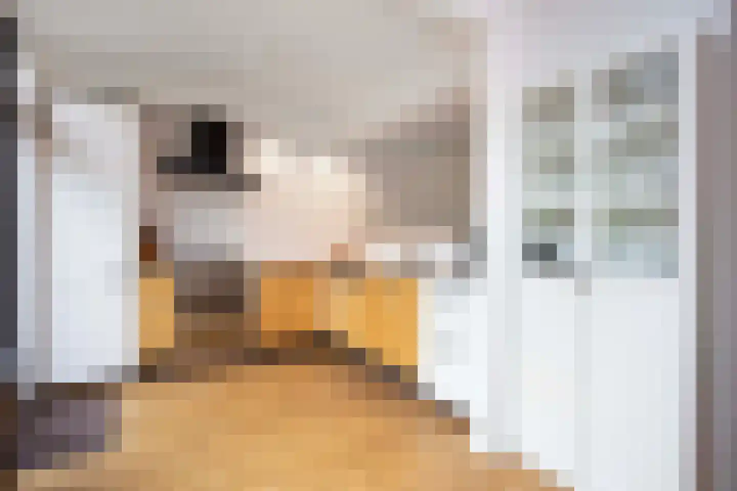 Leeuwenhof 4 Maarssen thumbnail 15
