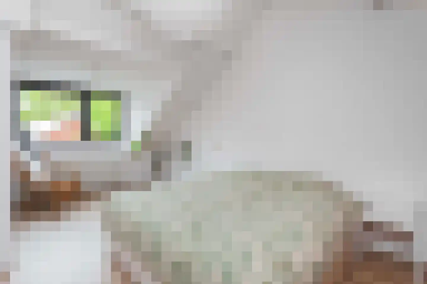 Leeuwenhof 4 Maarssen thumbnail 29