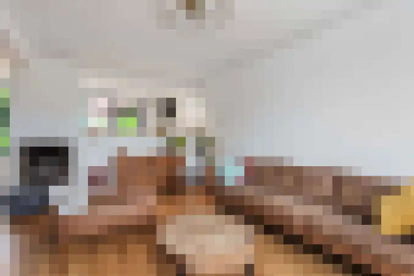 Leeuwenhof 4 Maarssen thumbnail 7