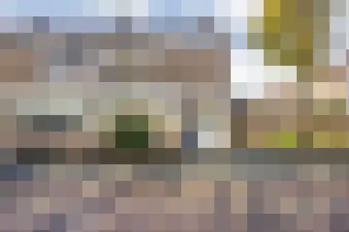 Leeuwenhof 6 Breda thumbnail 14