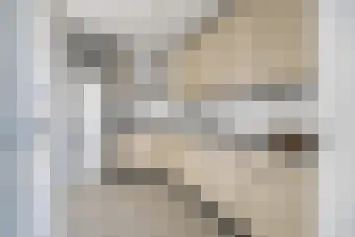 Leeuwenhof 6 Breda thumbnail 32