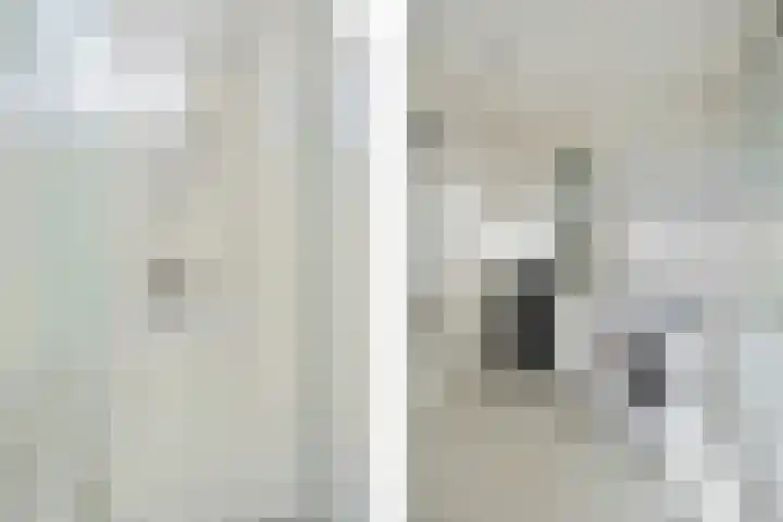 Leeuwenhof 6 Breda thumbnail 44