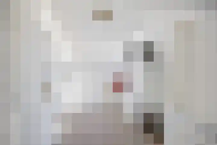 Leeuwenhof 6 Breda thumbnail 67