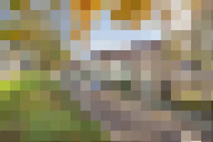 Leeuwenhof 6 Breda thumbnail 7