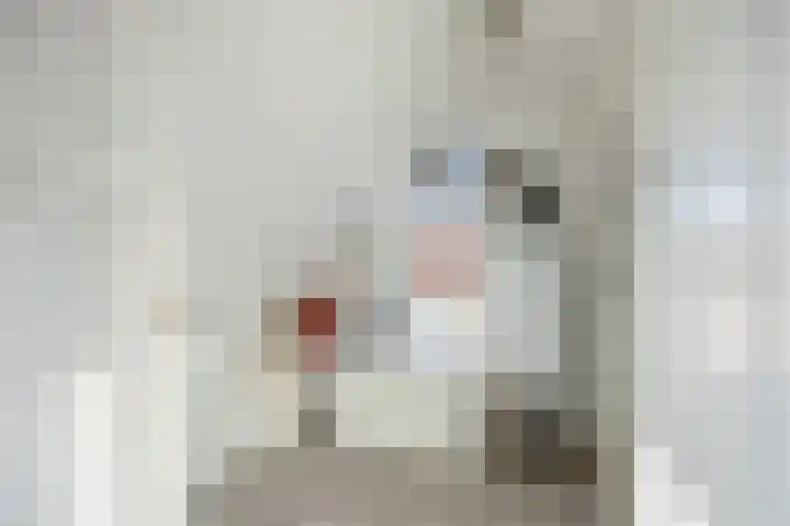 Leeuwenhof 6 Breda thumbnail 73