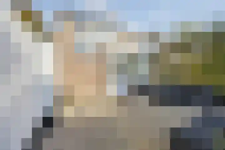 Leeuwenhof 6 Breda thumbnail 76