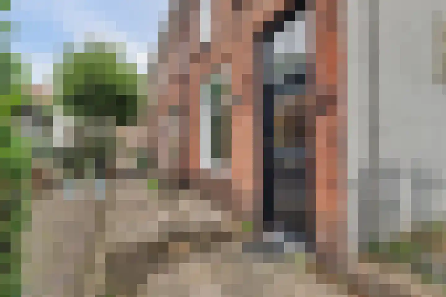 Leeuwenhofje 2 Gorinchem thumbnail 12