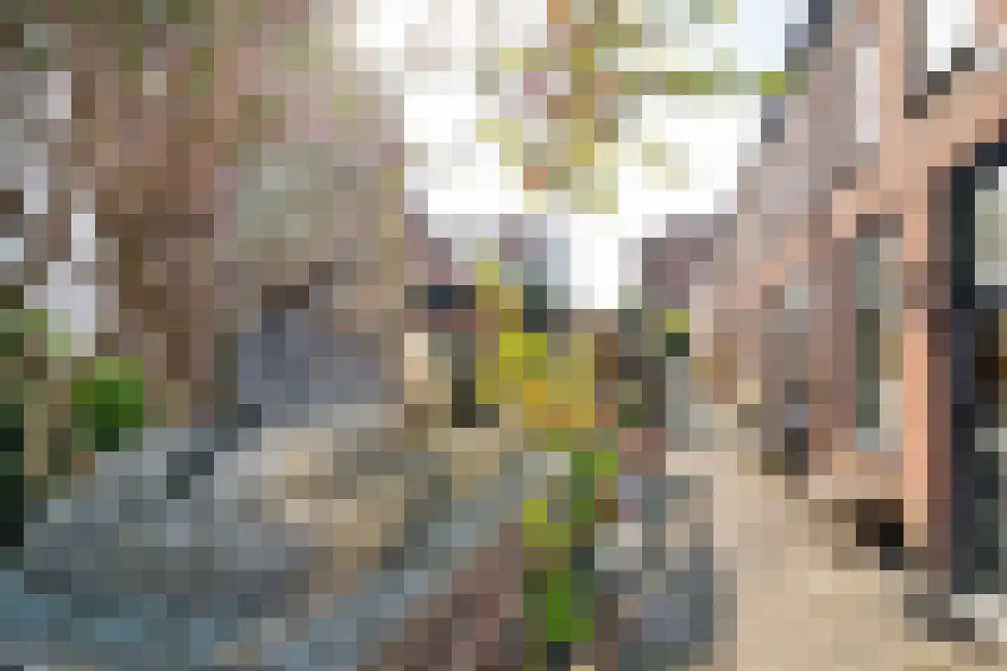 Leeuwenhofje 2 Gorinchem thumbnail 32
