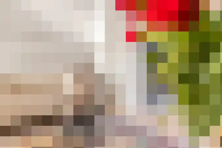 Leeuwenhofje 6 Gorinchem thumbnail 5