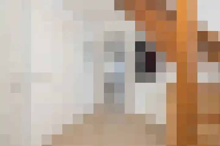 Leeuwenhorst 2 't Zand thumbnail 10
