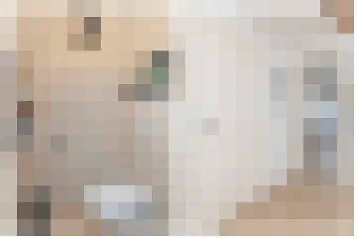 Leeuwenhorst 2 't Zand thumbnail 11